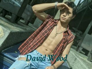 David_Wood