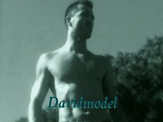 Davidmodel