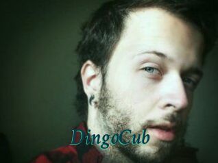 DingoCub