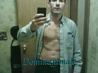 Dominantmale