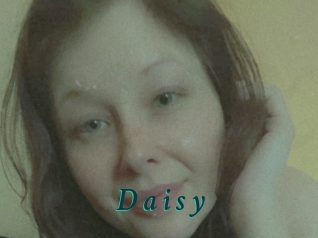 D_a_i_s_y