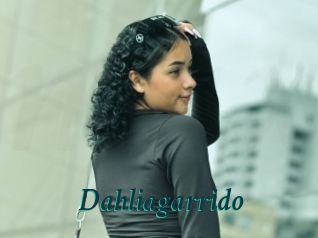 Dahliagarrido