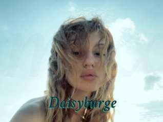 Daisyburge