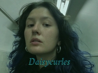 Daisycurles