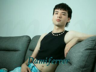 Damiferrer