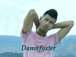 Damnfoxter