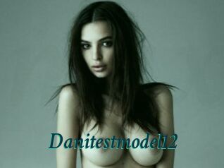 Danitestmodel12