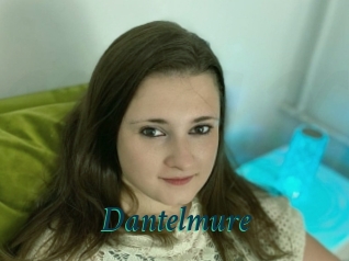 Dantelmure