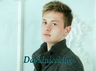 Davidniceking