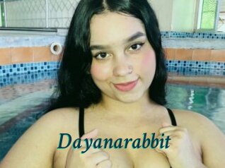 Dayanarabbit