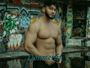 Donmerlin