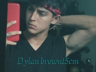 Dylan_brown15cm