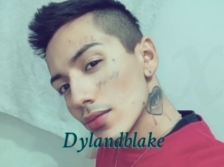 Dylandblake