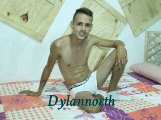 Dylan_north