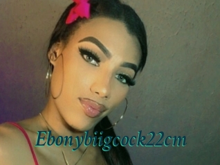 Ebonybiigcock22cm