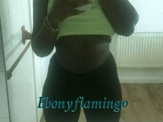 Ebony_flamingo