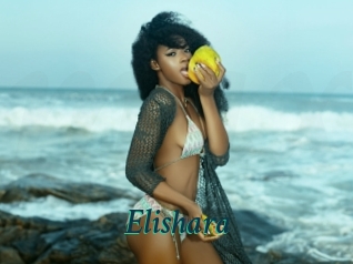 Elishara