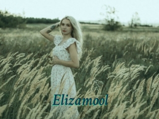 Elizamool