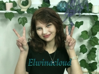 Elwinacloud