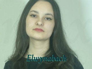 Elwynabach