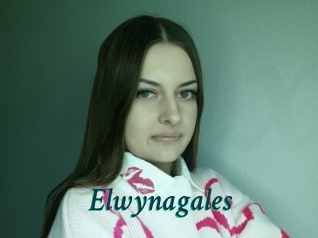 Elwynagales