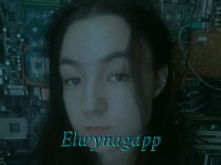 Elwynagapp