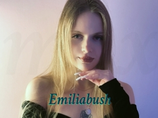 Emiliabush