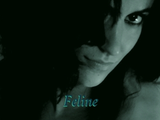 Feline Maxi Top Sexe