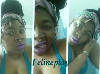 Felineplay