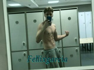 Fellixgarcia