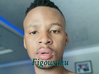 Figowethu