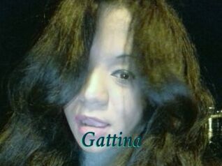 Gattina