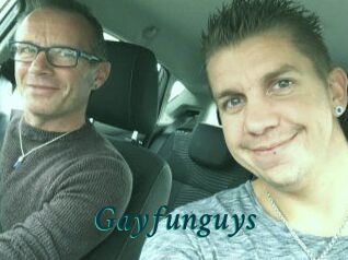 Gayfunguys