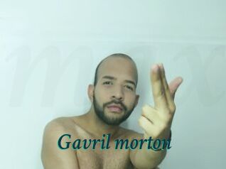 Gavril_morton