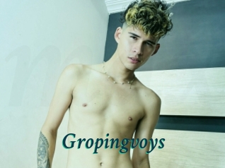 Gropingvoys