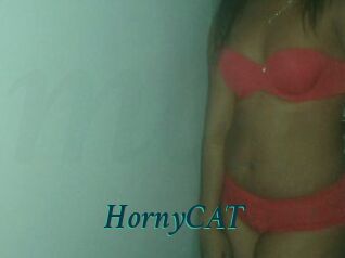 HornyCAT