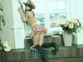 HotInsu