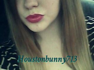 Houstonbunny713