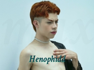 Henophidd