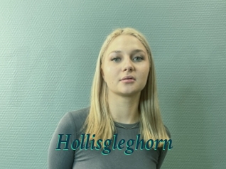 Hollisgleghorn