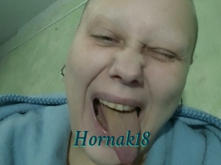 Hornak18