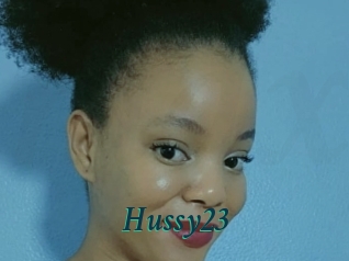 Hussy23