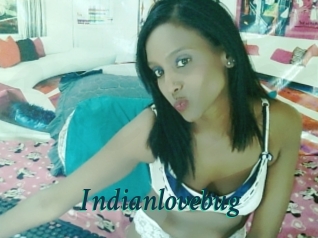 Indianlovebug