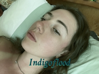 Indigoflood