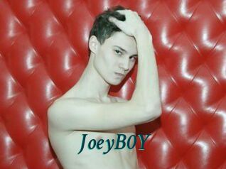 JoeyB0Y
