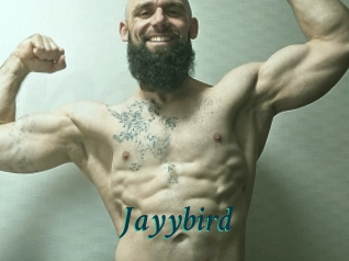 Jayybird