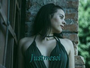 Justmesol