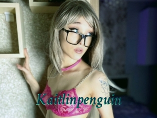 Kaitlinpenguin