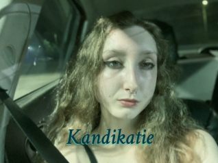 Kandikatie