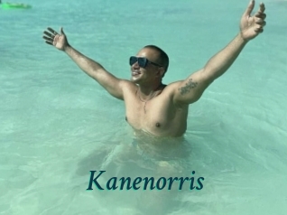 kanenorris Maxi Top Sexe